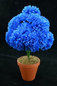 Royal Blue Carnation-Mum Bush x12  (Lot of 12) SALE ITEM